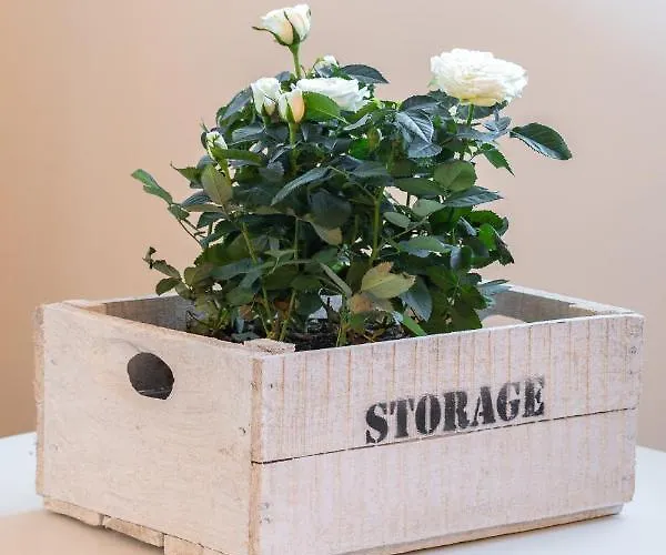 Casa Zoe 度假居 科利科